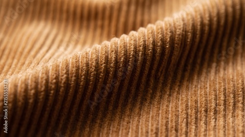 Corduroy fabric texture features diagonal ribbed lines creating a soft velvet background.
