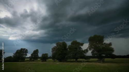 Heavy dark storm clouds gather over a line of trees during an approaching tempest.