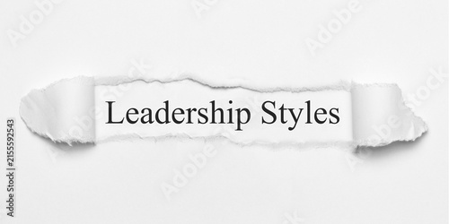 Konstfotografi Leadership Styles