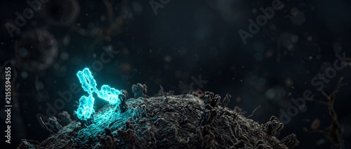 Antibody or immunoglobulin floating above a cell surface representing immune system response or targeted therapy.