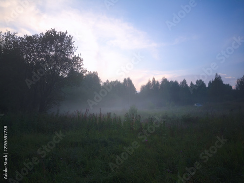 Misty Morning in Open Field