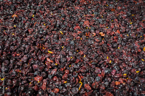 Фотография Pressed red grape pomace after Pinot Noir winemaking
