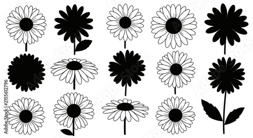 Black and white daisy flower vector icons set with collection daisy white styles illustration silhouette minimalist decorative monochrome with wildflower