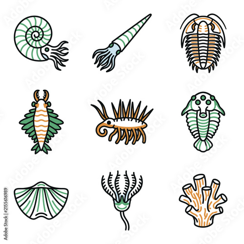 Prehistoric Marine Fossils Illustration