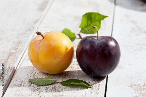 Yellow and black gage (Prunus domestica subsp. italica) on white wooden table, studio shot