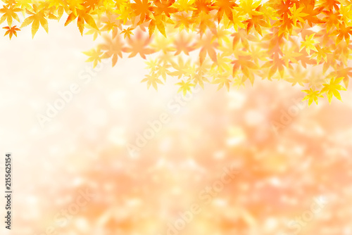 紅葉の葉と光輝くの背景イラスト、秋のイメージ