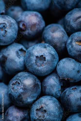 Canvas Print Fresh blueberries macro close up with natural bloom