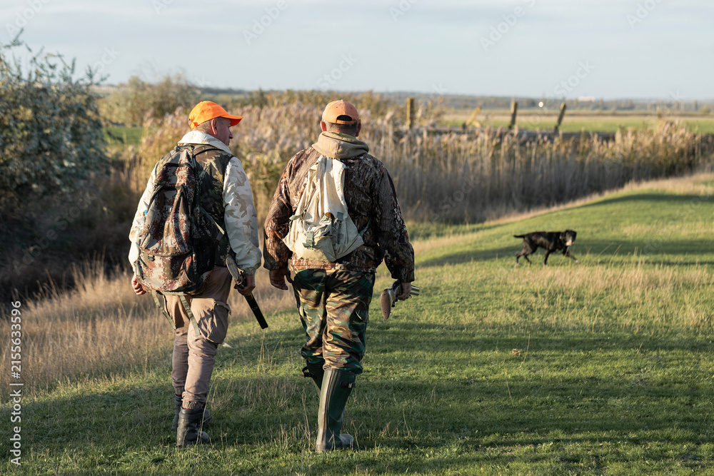 Fototapeta premium A hunters in camouflage clothing with a gun in his hands walks along the reeds.