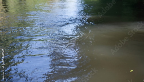 River water flowing with ripples and reflections