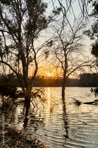Peaceful Athalassa park Cyprus Lake at Sunset with Birds and Reflections