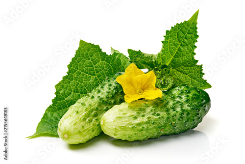 fresh cucumber presented with leaves and yellow flower on white background, healthy eating concept, food photography,, clean and bright image, modern design, editorial.
