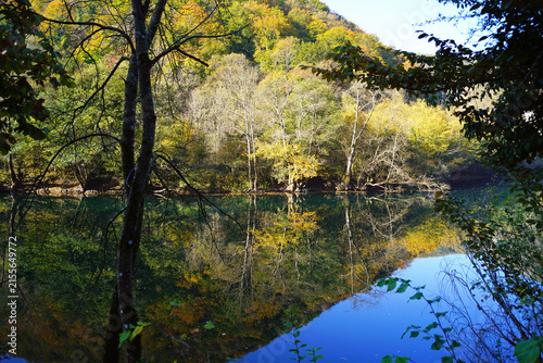 Fotografie Calm Una river reflecting yellow and green autumn woodland across opposite bank