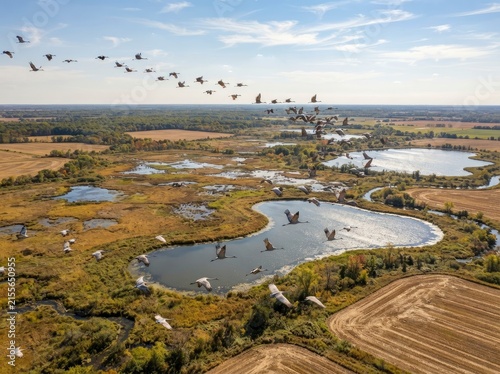 Aerial view of a large flock of migratory birds flying in formation over a vast wetland landscape with ponds, fields, and forests on a bright, sunny autumn day.