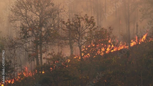 El Niño climate event dries regions and increases wildfire ris