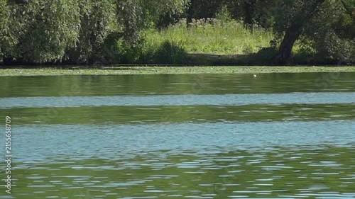 River water pollution during hot summer periods. Adverse epidemiological conditions. Environmental and sanitary monitoring concept.