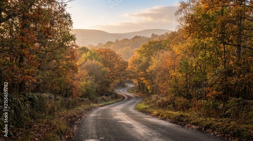 Winding Road Through Autumn Forest at Sunrise.