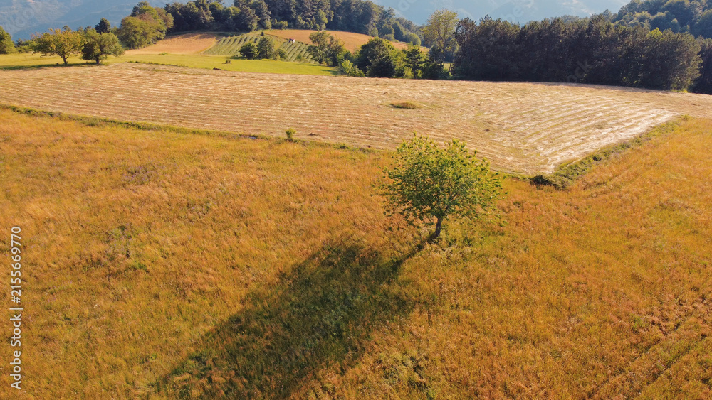 Naklejka premium Tranquil sunny summer landscape with green fields and hills.