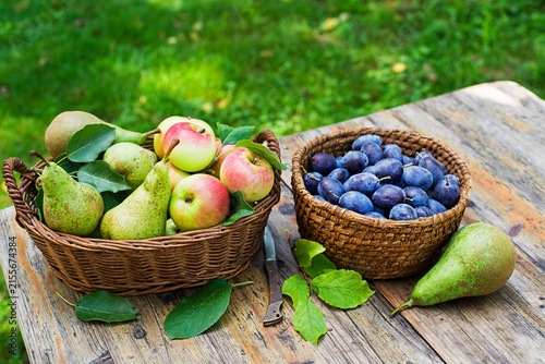 Fruit basket harvest