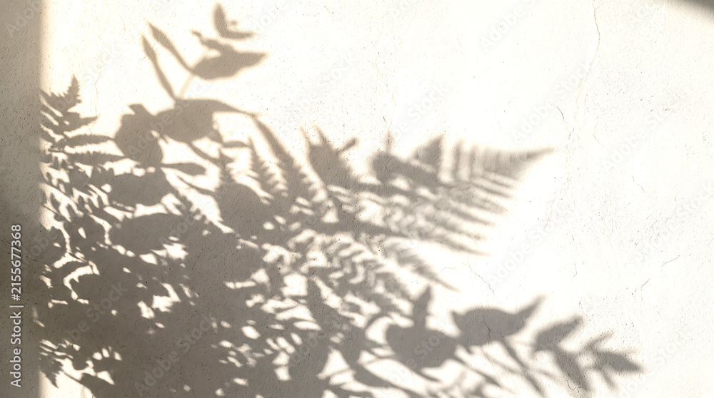 Obraz premium black and white background