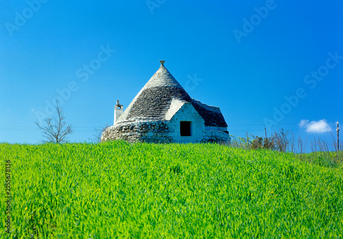 Trullo pugliese in campo verde con cielo azzurro