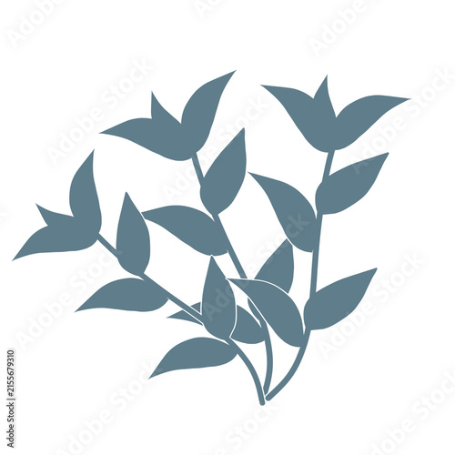 stylized graphic illustration of botanical plant art