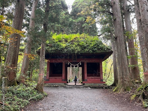Togakushi Shrine Zuishinmon Gate in Togakushi, Nagano, Japan