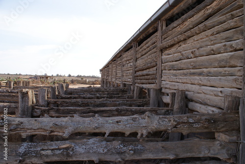 Fotografie Australian Shearing Shed