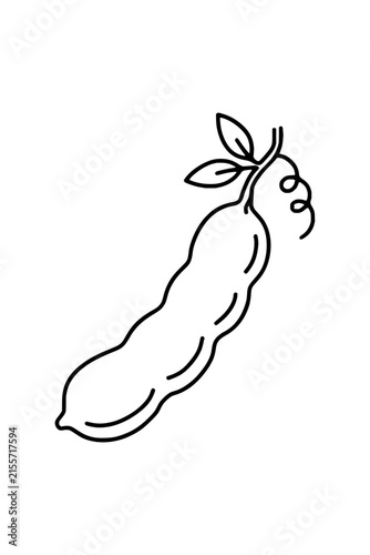 Tamarind Pod Line Art Illustration with Leaves on Transparent Background