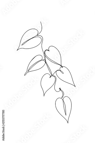 Minimalist Continuous Line Drawing of a Leafy Branch