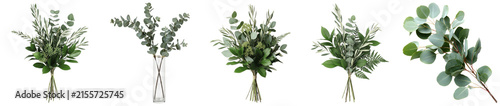 Photography Five distinct elegant bouquets and arrangements featuring fresh green eucalyptus and olive branches