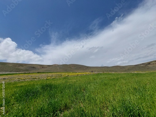 Photography green field and blue sky