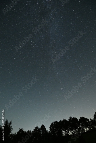 Perseid meteor shower lighting up the summer night sky with bright meteors streaking across a field of stars. A spectacular astrophotography scene capturing the natural beauty of the Perseids