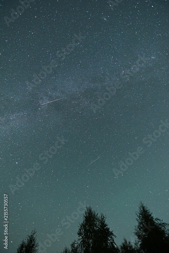 Perseid meteor shower lighting up the summer night sky with bright meteors streaking across a field of stars. A spectacular astrophotography scene capturing the natural beauty of the Perseids
