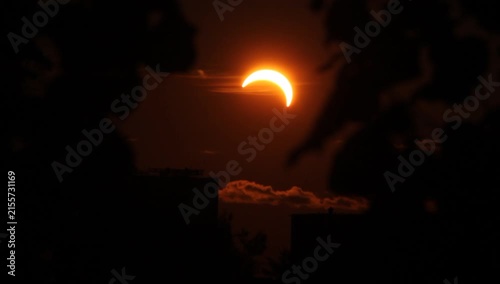 Dark solar eclipse between leaves