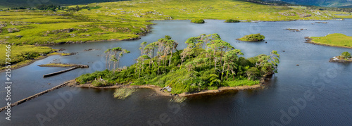 Foto Pine Island, Connemara National Park, Ireland