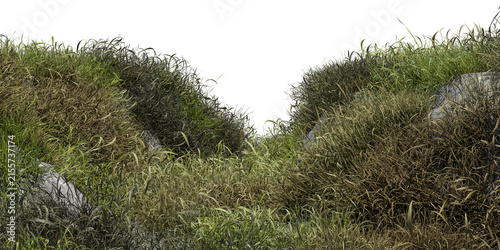 Realistic grass patch with rocks isolated on transparent background, detailed natural green foliage foreground element, perfect for landscape design, compositing, and 3D render environment visual