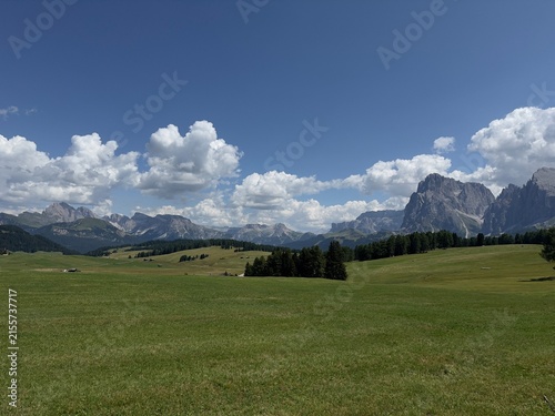 Bild auf Leinwand Panoramic view of vast green alpine meadow with iconic Dolomites mountain peaks under vibrant blue sky with fluffy white clouds