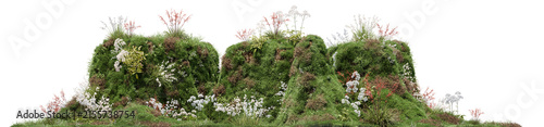 Grassy hill with small flowers isolated on transparent background. 3d render of green lawn mound for architectural rendering, garden design, and landscape composition