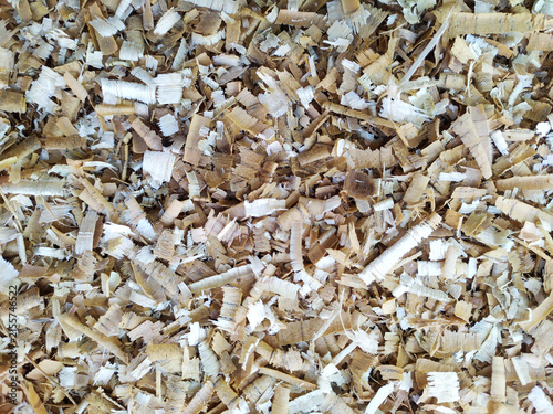Background texture of natural wood shavings and sawdust