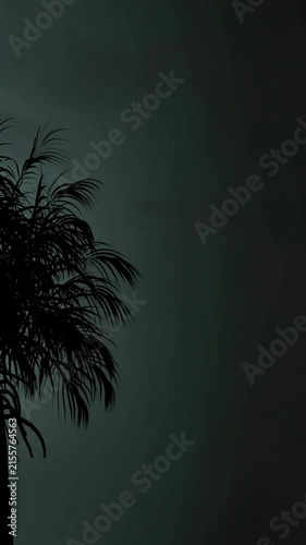 Silhouette of a tree and lightning