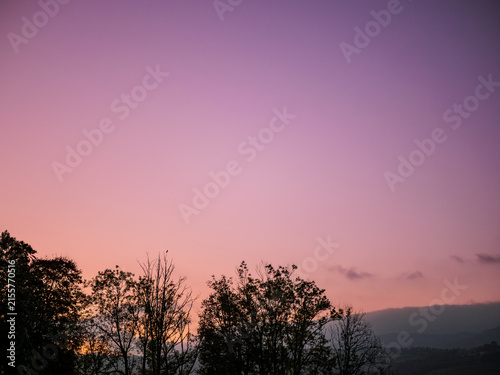 Pink Mountain Sunset Sky With Dark Tree Silhouettes