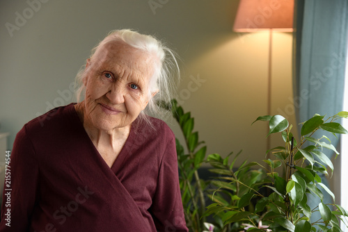 ​Serene Elderly Woman Smiling in a Warm Cozy Interior with Houseplants