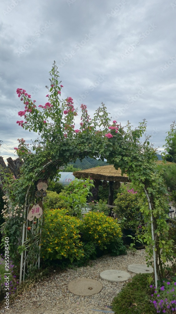Obraz premium Korea garden in spring
