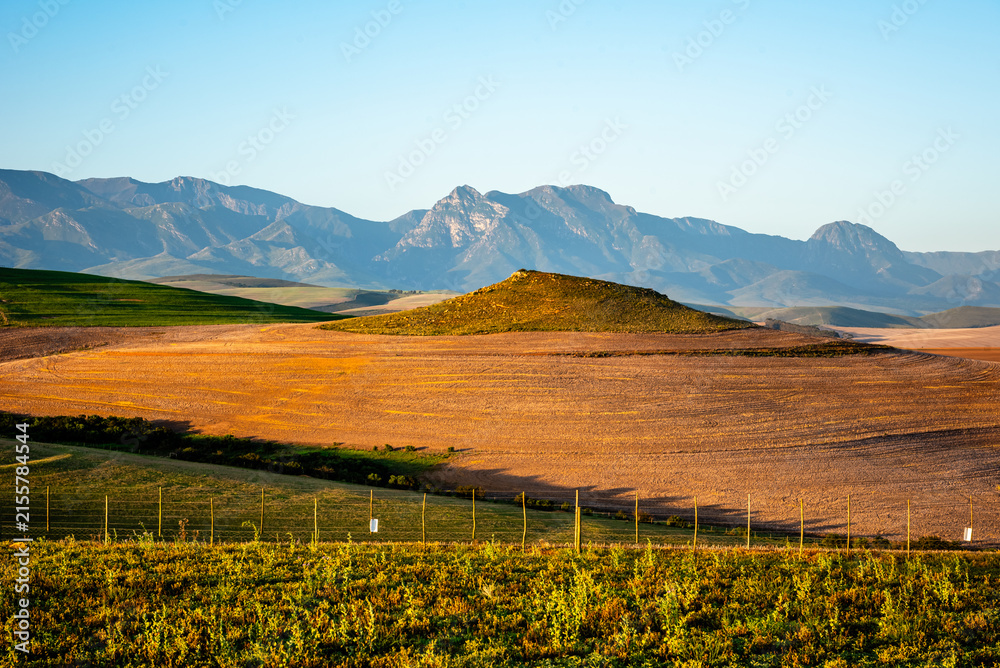 Fototapeta premium A big farm during sunrise in Heidelberg South-Africa