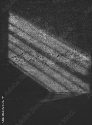 Fotografie Abstract black and white shadow lines on a textured concrete wall