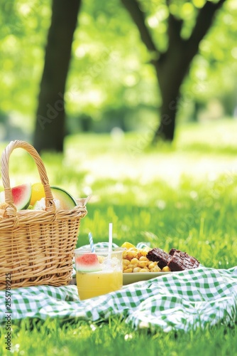 Summer Picnic in Nature with Refreshing Drink and Fresh Foods