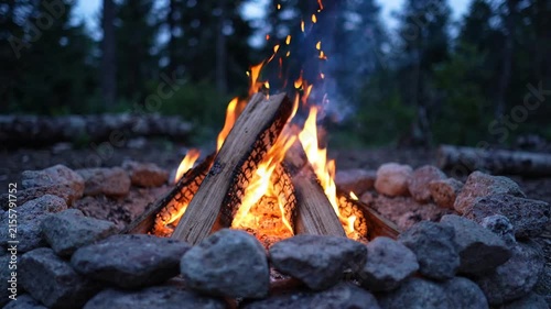 Cozy Campfire Burning with Glowing Embers in Forest Clearing at Night