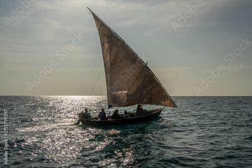sailboat in the sea