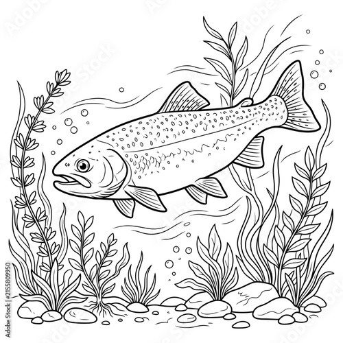 A detailed black and white line art illustration of a swimming trout