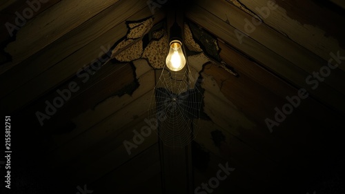 A solitary lightbulb casts a warm glow on a cobweb woven through the cracks of a wooden ceiling